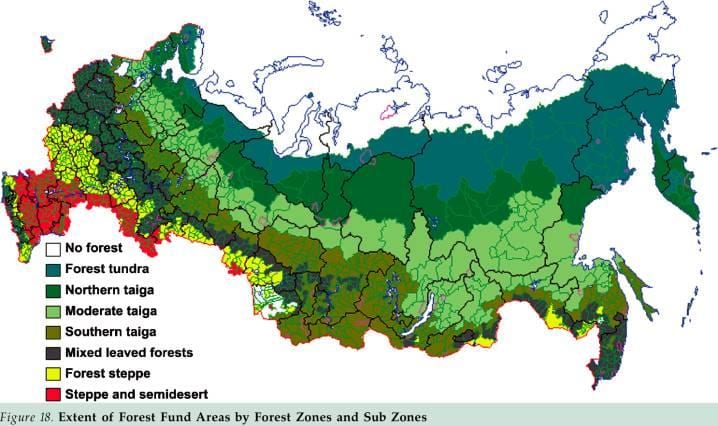Russo foresta mappa