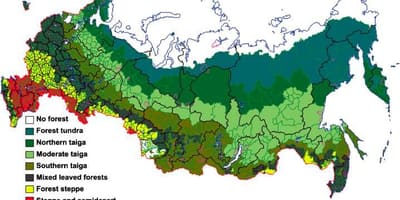 Russo foresta mappa